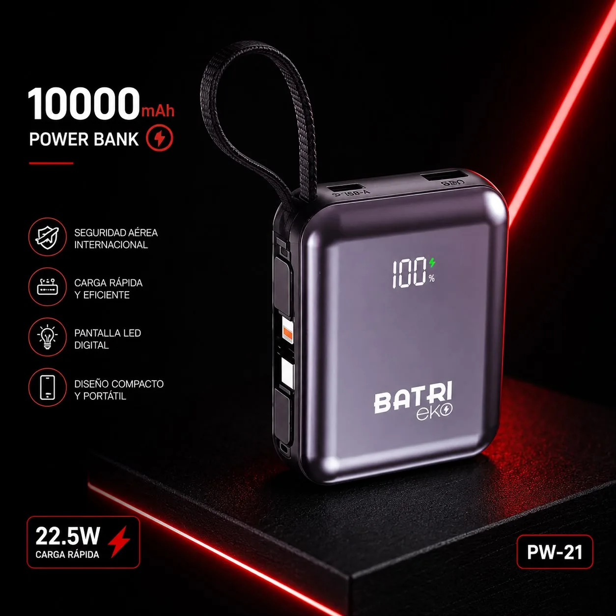 Power Bank 10000mAh PW-21
